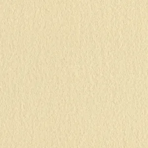 Full Wool - Blanc - 4008 - 02