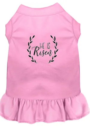 He Is Risen Screen Print Dog Dress Light Pink Xxxl (20)